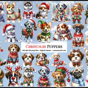Kerstpuppies in outfits, schattige aquarel hond clipart, vakantie, feestelijke, schattige hond moeder clipart, xmas clipart bundel, PNG digitaal