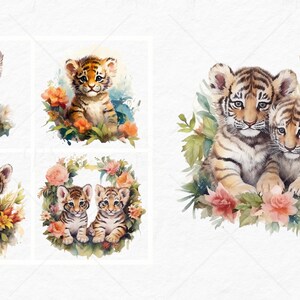 K&ouml;nnte beinhalten: Vier Aquarell-Illustrationen von Tigerjungen in verschiedenen Posen. Die Jungen sind von Blumen und Gr&uuml;n umgeben. Ein Bild zeigt zwei Junge, die sich aneinanderkuscheln.