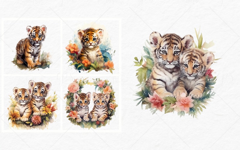 K&ouml;nnte beinhalten: Vier Aquarell-Illustrationen von Tigerjungen in verschiedenen Posen. Die Jungen sind von Blumen und Gr&uuml;n umgeben. Ein Bild zeigt zwei Junge, die sich aneinanderkuscheln.