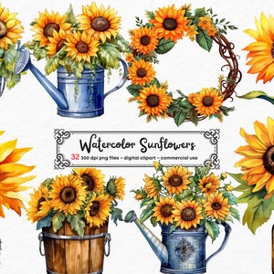 Clipart de tournesols aquarelle - bouquets de fleurs de tournesol d'automne en téléchargement instantané au format PNG pour un usage commercial vase floral png