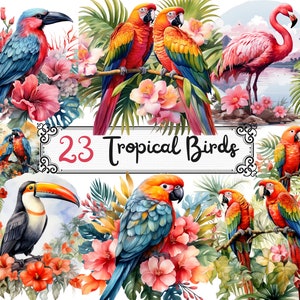 Clipart de pássaros tropicais em aquarela - pássaros tropicais com hibiscos e folhas em formato PNG, download instantâneo para uso comercial