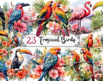 Watercolor Tropical Birds Clipart - tropical birds with hibiscus and leaves in PNG format instant download for commercial use