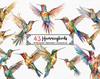 Hummingbird Clipart Digital Illustration Paper Crafting Collage Images Junk Journaling Scrapbook Painting Hummingbird Art Prints Download