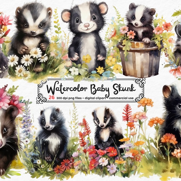 Cute Skunk Watercolor Clipart Skunk Flowers PNG Commercial Use Forest Animals Skunk Design Illustration Print Cute Baby Skunk Sublimation