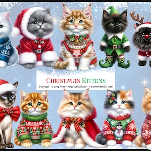 Kerstkatjes in outfits, schattige aquarel kat clipart, vakantie, feestelijk, schattige kat moeder clipart, xmas clipart bundel, PNG digitaal