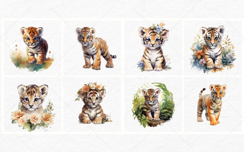 K&ouml;nnte beinhalten: Acht Aquarell-Illustrationen von niedlichen Tigerbabys in verschiedenen Posen. Einige Jungtiere tragen Blumenkr&auml;nze, w&auml;hrend andere von Blumen und Gr&uuml;n umgeben sind. Die Illustrationen sind perfekt, um jedem Projekt einen Hauch von Verspieltheit zu verleihen.