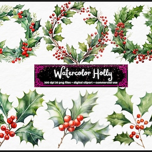 Aquarela Holly Clipart - clipart botânico de inverno em formato PNG, download instantâneo para uso comercial