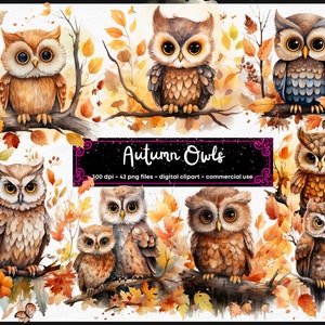 Herbst Eule Aquarell Clipart, Herbst Tier Clipart PNG, Kinder Clipart, Papier Handwerk - Junk Journal, Scrapbooking, sofortiger download