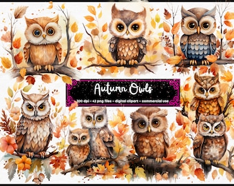 Autumn Cute Owl Watercolor Clipart, Fall Animal Clipart PNG, Kids Clipart, Paper craft - Junk Journal, Scrapbooking, instant download