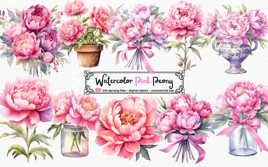 Watercolor Pink Peony Clipart - Peonies in PNG Format Instant Download ...