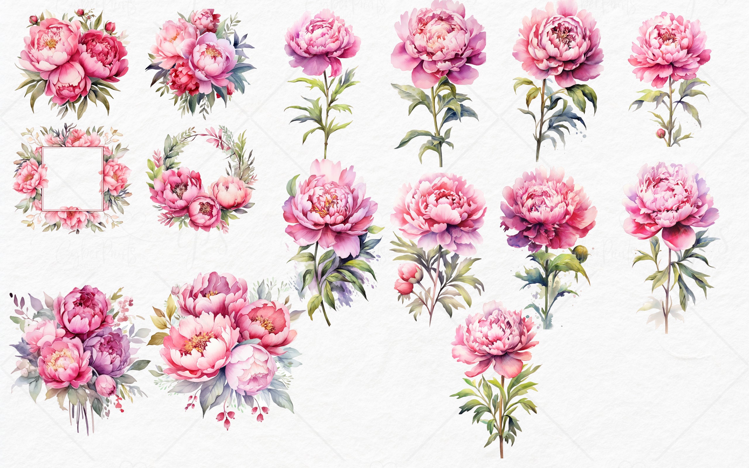 Watercolor Pink Peony Clipart - Peonies in PNG Format Instant Download ...