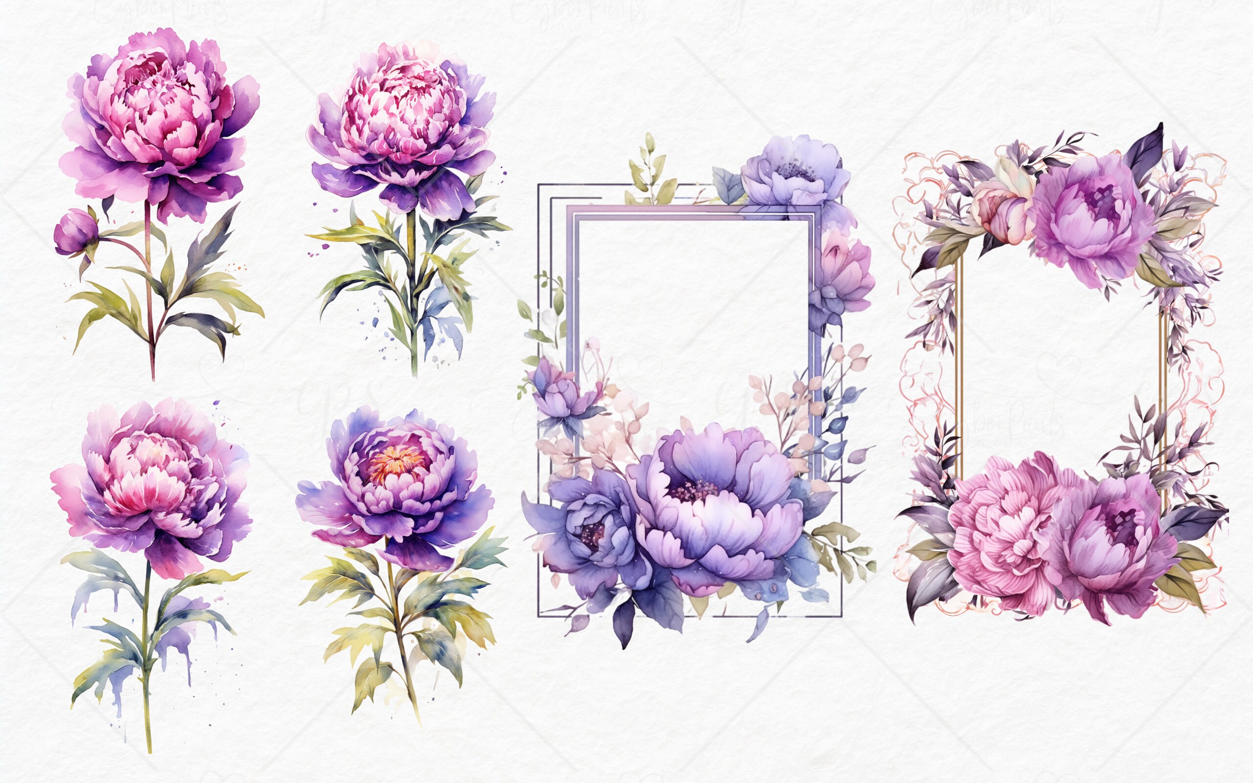 Watercolor Purple Peony Clipart - Peonies in PNG Format Instant ...