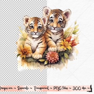 K&ouml;nnte beinhalten: Zwei Aquarell-Tigerbabys mit orangefarbenen und schwarzen Streifen sitzen in einem Bett aus gelben, orangefarbenen und rosafarbenen Blumen. Die Jungen schauen den Betrachter an.