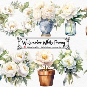 Watercolor White Peony Clipart - peonies in PNG format instant download for commercial use, Peony Vase, Peony scrapbooking