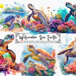 Acuarela Sea Turtle Clipart, lindos animales náuticos del océano PNG clip art gráficos descarga instantánea para uso comercial