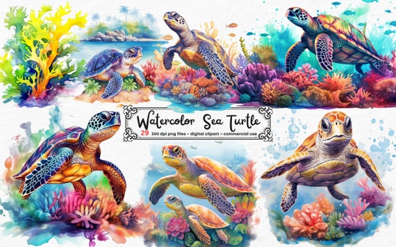 Watercolor Sea Turtle Clipart, cute nautical ocean animals PNG clip art graphics instant download for commercial use