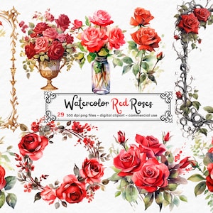Watercolor Red Roses Clipart -roses in PNG format instant download for commercial use, Rose Vase, Rose scrapbooking