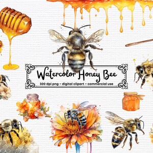 Aquarel Honey Bee Clipart, tuin bee clipart, voor commercieel gebruik clip art PNG instant download