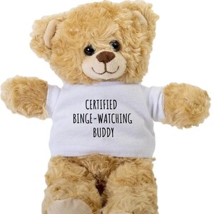 Teddy Bear with Teddy Bear Shirt, Teddy Bear Gift, Quirky Teddy Bear Gift for Binge Eater, Funny Phrase for Food Lover