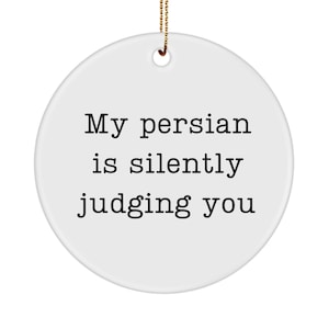 Persian Cat Ornament, Black Cat Lover Gift, Persian Cat,  Cat Gifts for 11 Year Old Girl, Funny Persian Cat Novelty Ornament, Cat Meme