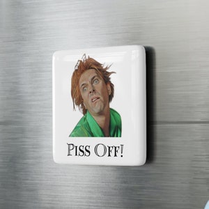 LASHALL Kitchen Gadgets Cute Refrigerator Magnets Funny Magnets