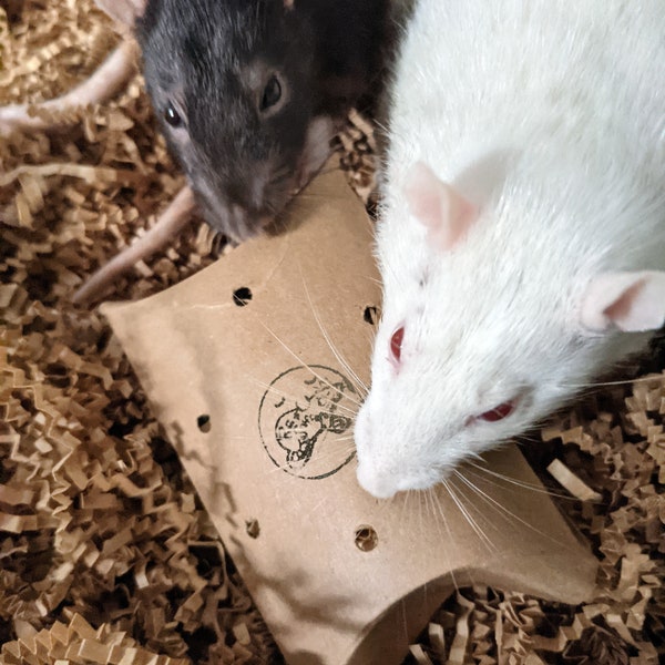 Foraging Pillow Box for rats, mice, hamsters, single layer cardboard shredder toy