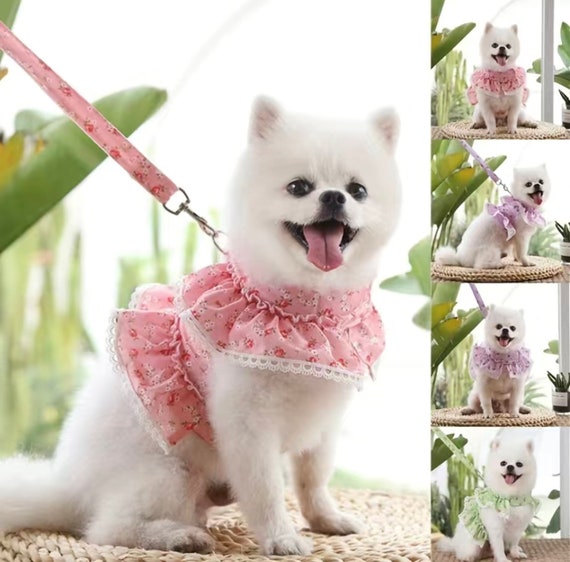 Cute harness hotsell