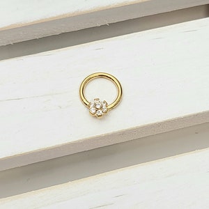 16 g, 18 g 8 mm titanium gouden bloem Cz hoepel, septumring, neusring, kraakbeen, toren, helix