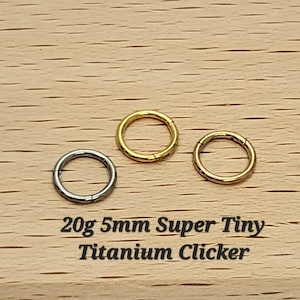 20g 5mm Super Tiny Gold,Silver,Rose Implant Grade Titanium Seamless Hinged Clicker, Titanium Segment Ring, Helix Hoop, Nose, Conch