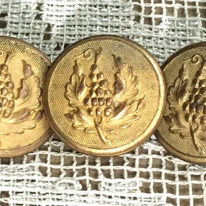May include: Three gold-toned metal buttons with a grapevine design. The buttons are round and have a raised design of a grapevine with leaves and grapes.