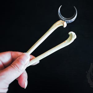 May include: A pair of bone hair sticks with a crescent moon shaped hair comb. The hair sticks are held in a hand against a black background.