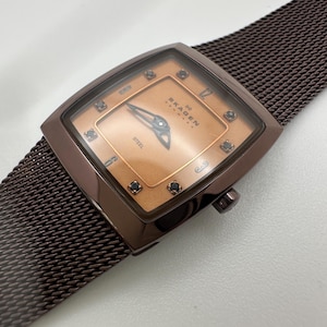 Skagen Denmark Square Brown Mesh Watch – 21mm, Fresh Battery