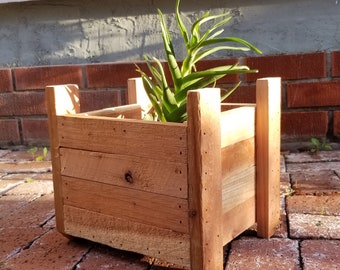 Könnte beinhalten: Ein Holz-Pflanztopf mit einer Sukkulente, die darin wächst. Der Topf ist aus recyceltem Holz und hat einen rustikalen Look.