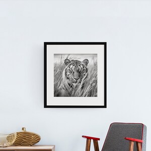 Tiger Art, Printable Wall Art, Digital Download
