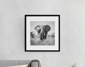 Black and White Elephant Portrait Art Print (Digital Download)