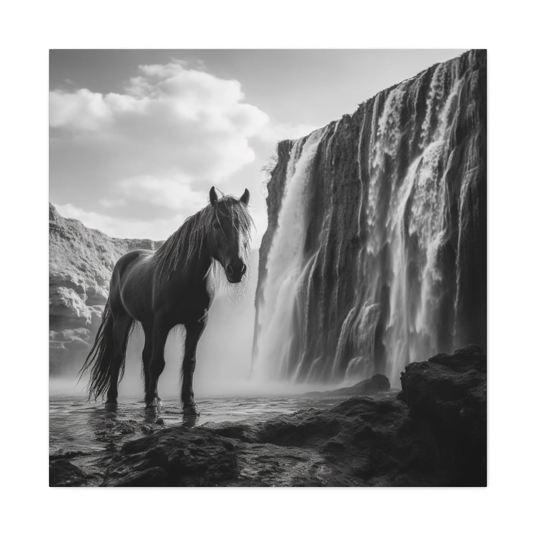 Wall Art, Horse Art, Wildlife Photography, Home Decor, Fine Art