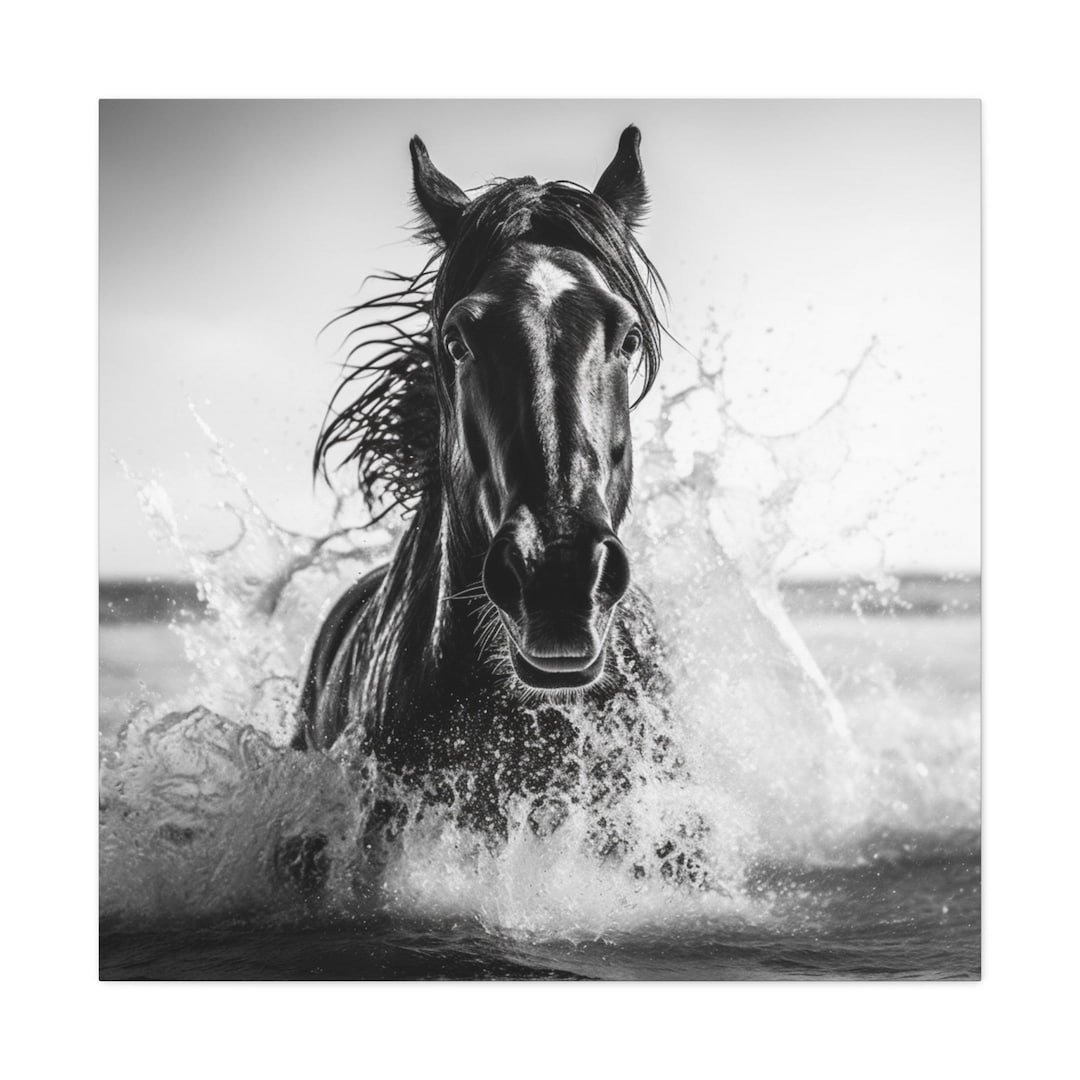 AI Horse Photography Print Black White Equine Wall Art Etsy ai-horse-photography-print-black-white-equine-wall-art-etsy