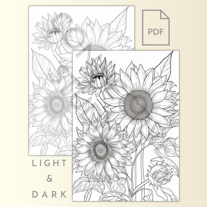 SUNFLOWERS Coloring Pages Six Pack of Premium Art Printable Adult ...