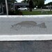 28 Inch Crappie Ruler SVG File, Boat Ruler, Fishing Ruler, Fish ...