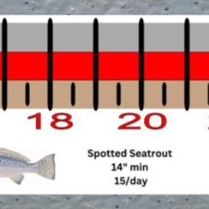 Georgia Inshore Fishing Slot Ruler Decal - Etsy