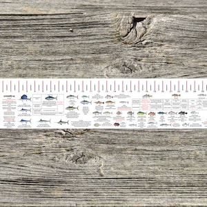 MAINE SALTWATER FISH IDENTIFICATION AND REGULATIONS 50 INCH RULER