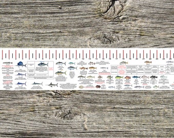 State Specific Saltwater Fish ID and Regulations Ruler Decals Tx La Ms Al Fl Ga Sc Nc Va Md De Nj Ny Ct Ma Ri Me - Accurate Fish Ruler