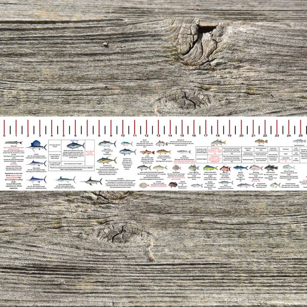 State Specific Saltwater Fish ID and Regulations Ruler Decals Tx La Ms Al Fl Ga Sc Nc Va Md De Nj Ny Ct Ma Ri Me - Accurate Fish Ruler
