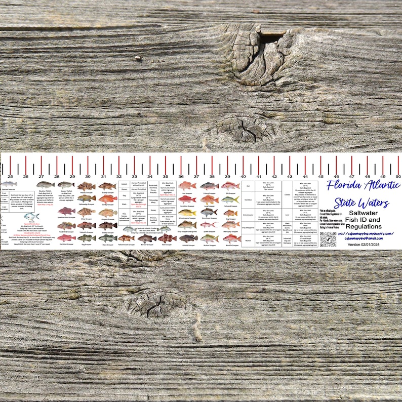 State Specific Saltwater Fish ID and Regulations Ruler Decals Tx La Ms ...