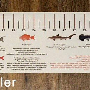 State Specific Freshwater Fish ID and Regulations Ruler Decals - Texas ...