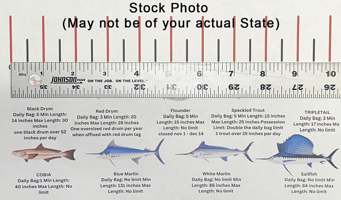 State Specific Saltwater Fish ID and Regulations Ruler Decals Tx La Ms ...