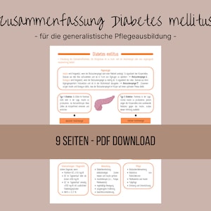 Op de afbeelding: Een roze en oranje geïllustreerde gids over diabetes mellitus voor algemene verpleegopleiding. De gids bevat een diagram van de pancreas en tekst over type 1 en type 2 diabetes. De tekst op de omslag luidt "Zusammenfassung Diabetes mellitus - für die generalistische Pflegeausbildung -" en "9 SEITEN - PDF DOWNLOAD".