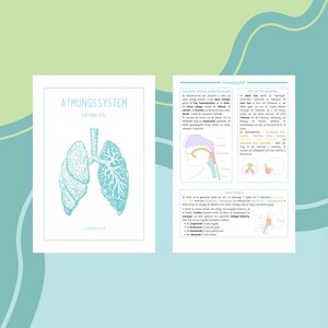 Könnte beinhalten: Ein Diagramm des menschlichen Atmungssystems mit Illustrationen der Lungen, der Luftröhre und des Kehlkopfs. Der Text lautet "Atmungssystem" und "Von Emma Kile".