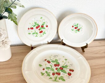 Vintage Antique Array Brick Oven Stoneware Plates – Strawberries