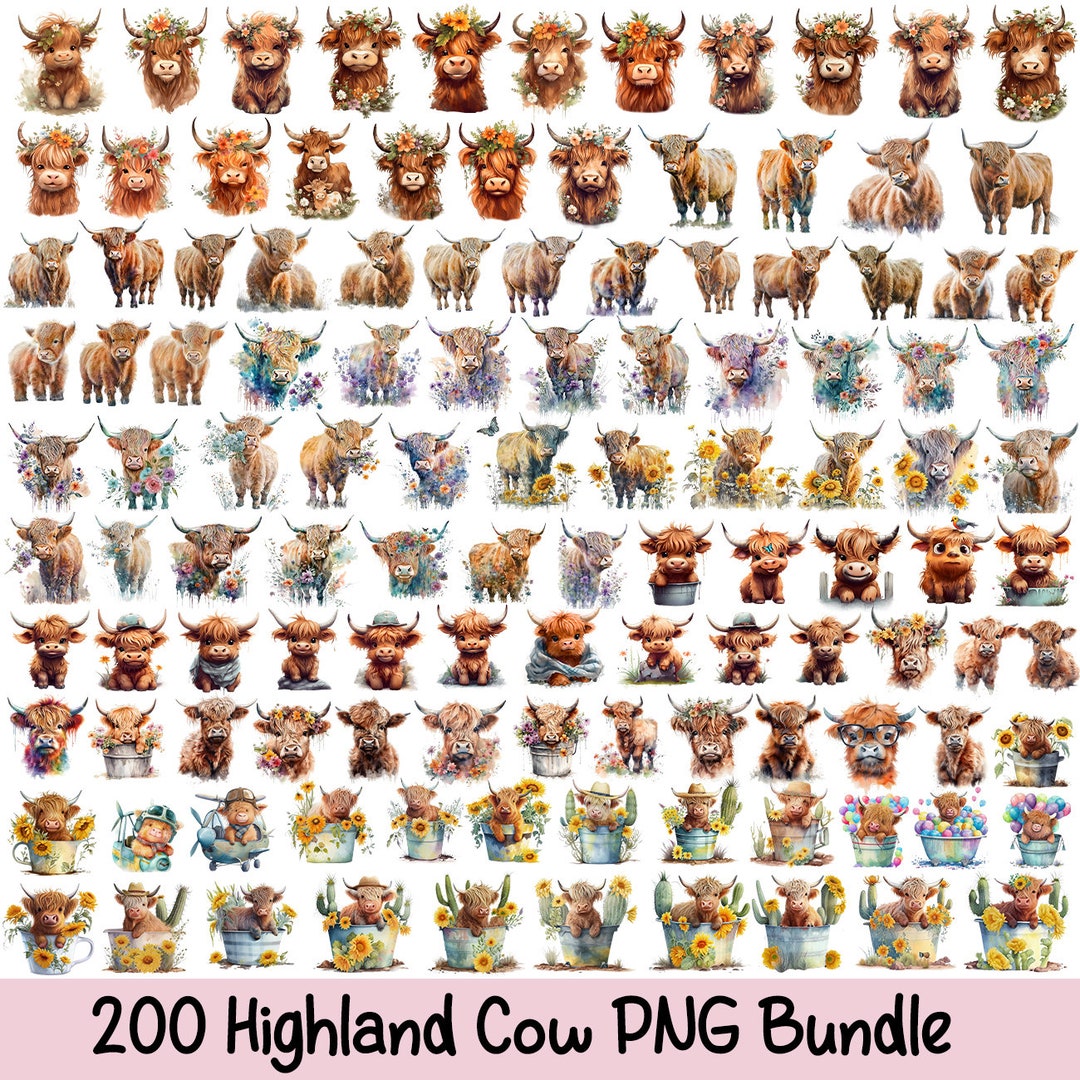 150 Highland Cow PNG Watercolor Highland Cow Clipart Baby Highland Cow ...